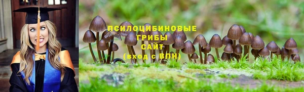 молекула духа Осташков