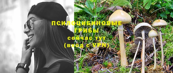молекула духа Осташков