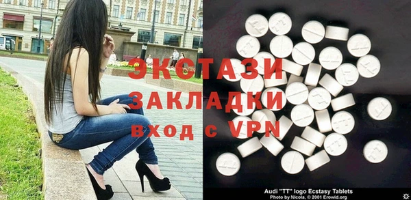 молекула духа Осташков