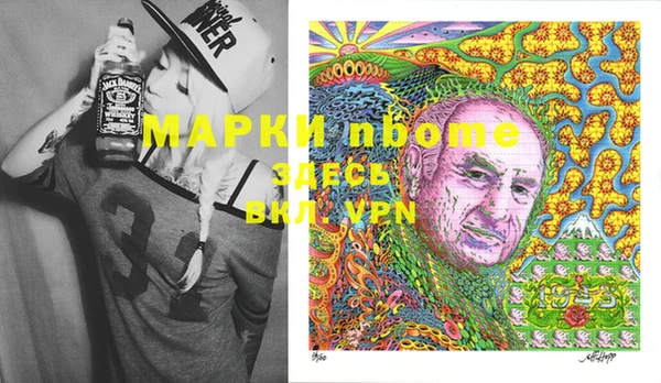 молекула духа Осташков