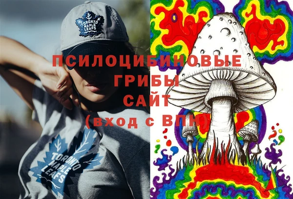 молекула духа Осташков