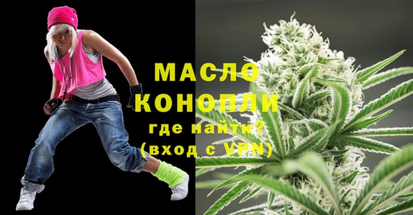 молекула духа Осташков
