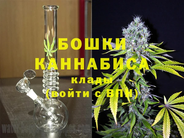 молекула духа Осташков