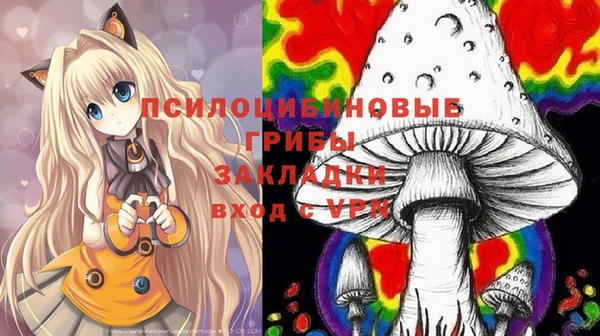молекула духа Осташков