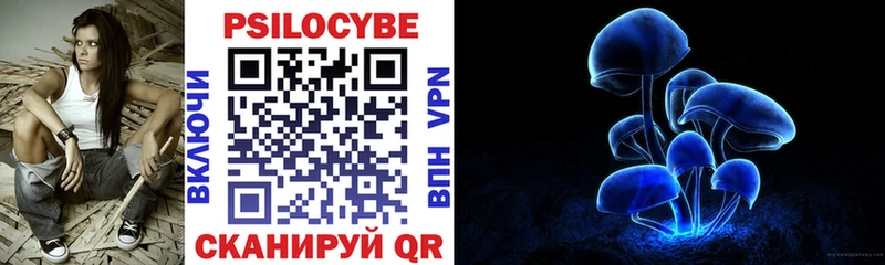 Псилоцибиновые грибы Psilocybine cubensis  площадка Telegram  Ленинградская  купить наркоту 